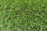 Umelý trávny koberec exteriérový 6909, výška 20 mm, rozmer 1 x 5 m