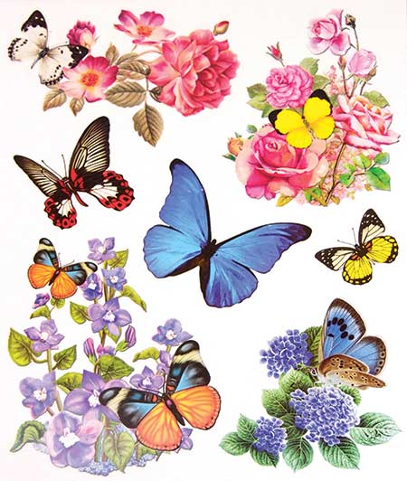 Okenná fólia motýle a kvety 1 ks
