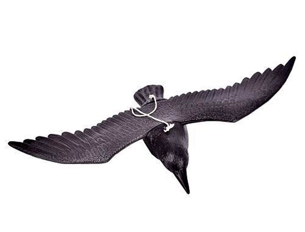 Plašič vtákov Havran, maketa dravca na zavesenie 56 cm