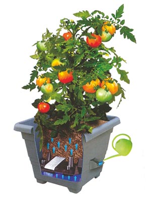 Samozavlažovací kvetináč Bergamot - antracit
