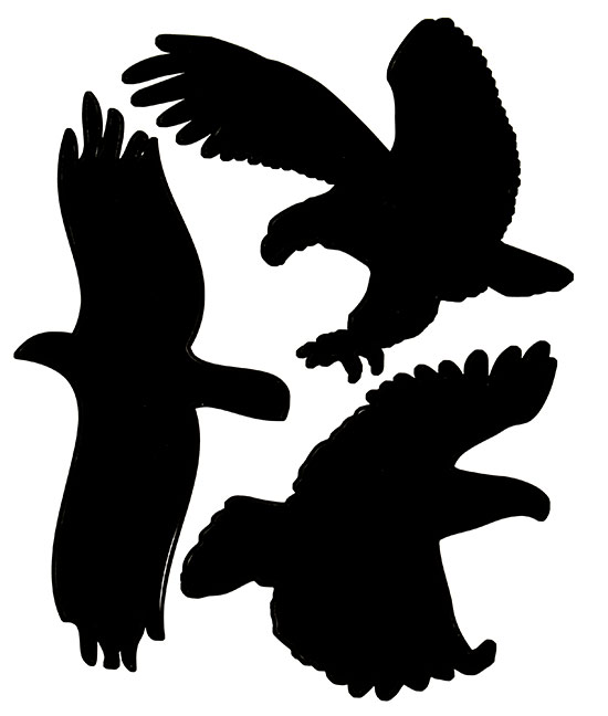 Samolepiaca silueta dravcov na plašenie vtákov 429, 38 x 30 cm